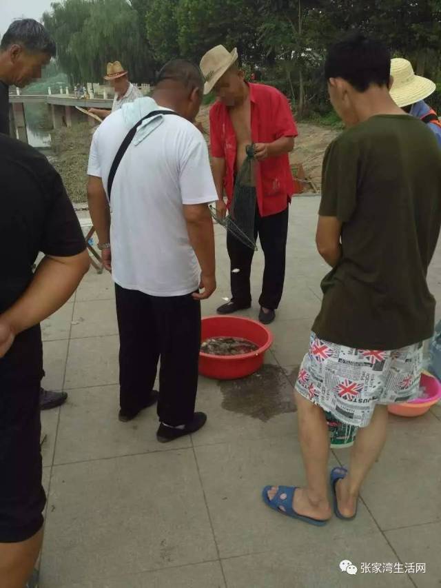 以下网友供图,拍摄于萧太后河太玉园小区旁.