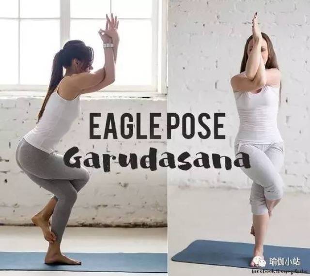 瑜伽体式精讲丨鹰式(garudasana)