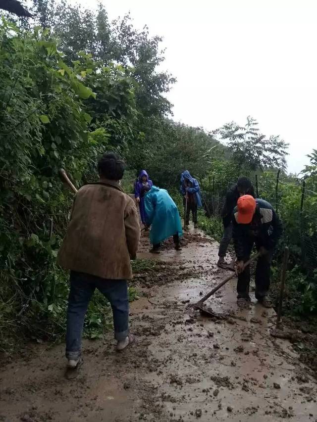 在华坪县永兴乡,洪水穿过农田,冲进村舍,浩浩荡荡,煞是凶猛.