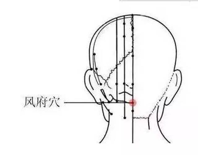 这个穴位对保护我们的脑补非常关键,可用于缓解头颈部酸痛,晕眩,昏迷