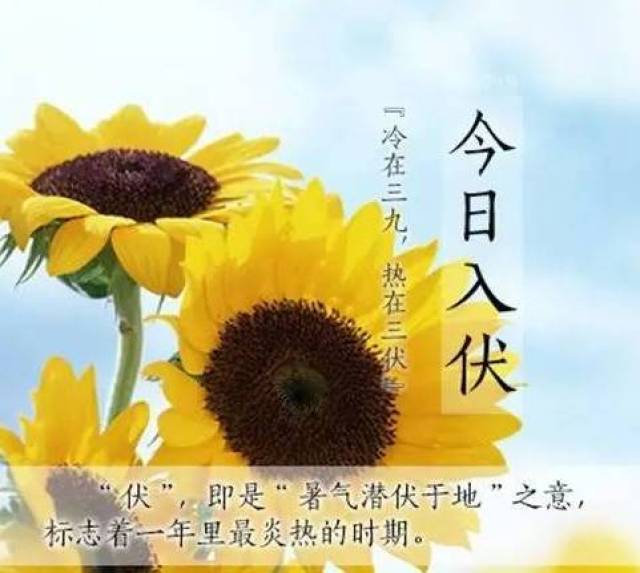 养生|今日入伏,全国开启桑拿模式,一图帮你清凉度夏!