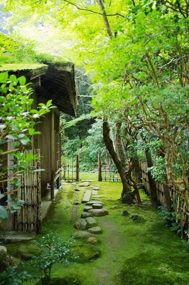 走进日本庭院中的禅意与美学