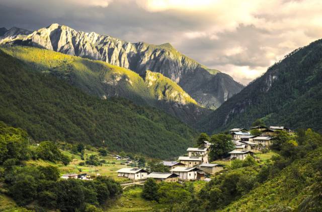 草甸人口_高山草甸图片