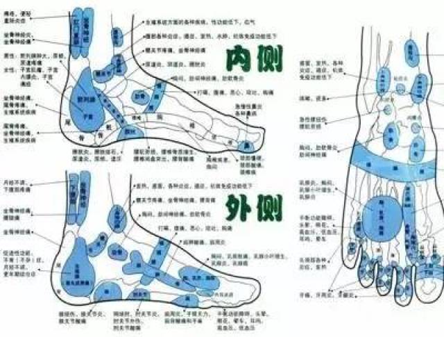 人体"第二心脏"脚底养生7法!附足部反射区穴位图