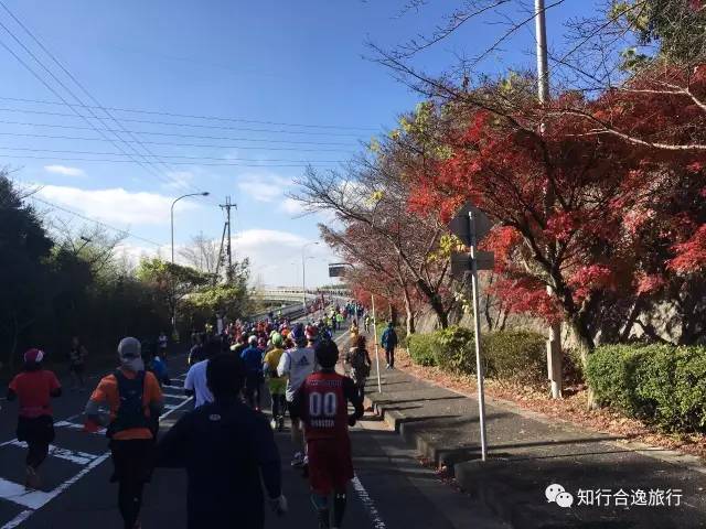 奈良县天理市人口_原神天理维系者图片(2)