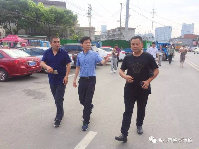 区政府常务副区长李命山一行督查望湖街道淝河路沿线文明创建工作