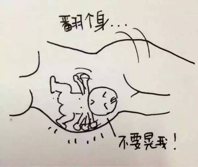 头条‖ 孕妈咪睡觉的烦恼.一幅漫画真是直戳痛点!