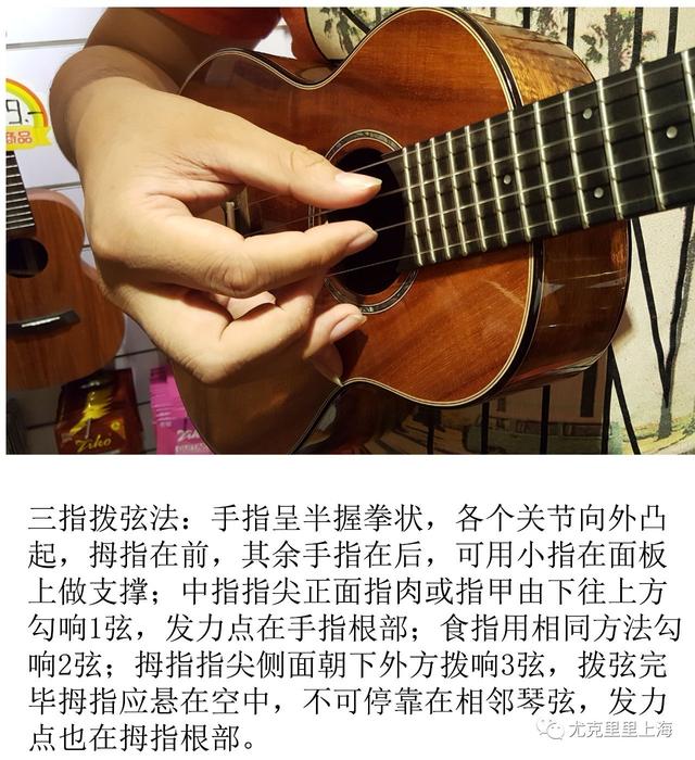 ukulele尤克里里演奏入门教程