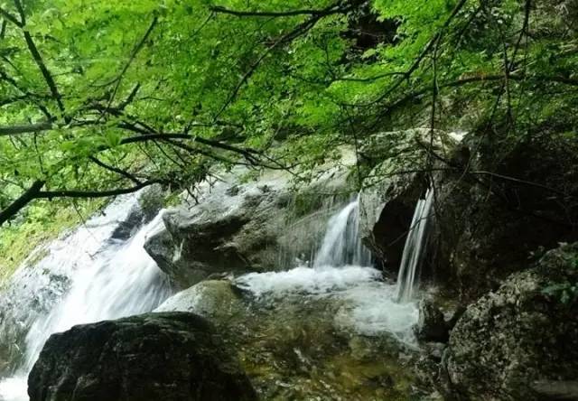 热热热~终南山下,这些仙气十足的秦岭峪口解救被高温包围的你!