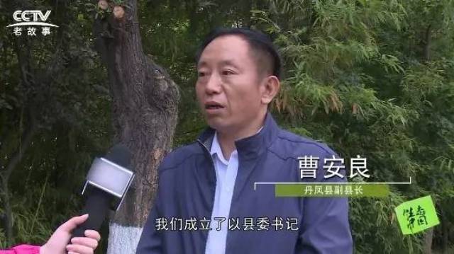 丹凤县副县长曹安良告诉记者:"这方面一是健全高位推进机制,我们成立