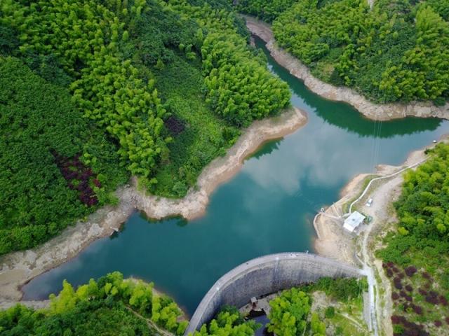 四明山深处小水库惊现千只野生鳖,连嵊州等周边县市的百姓都蜂拥而至.