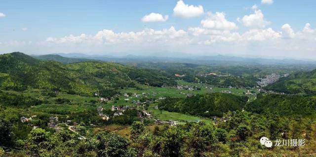 麻布岗小长沙的夏天是一首绿色的诗~家在农村,真好!