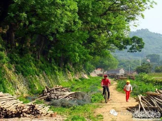 回味儿时的记忆村庄《传胪村》