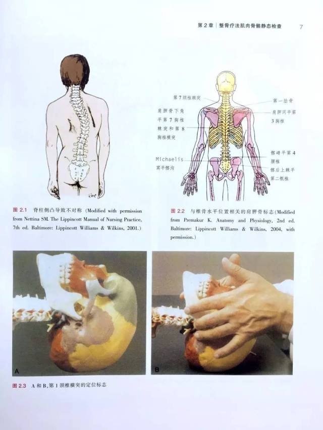 整骨疗法操作一本通:《现代临床整骨疗法:骨骼和软组织操作技法图谱》