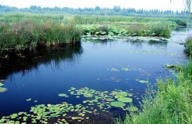 【周精选】北京十大湿地公园详解,咱海淀这俩美绝了