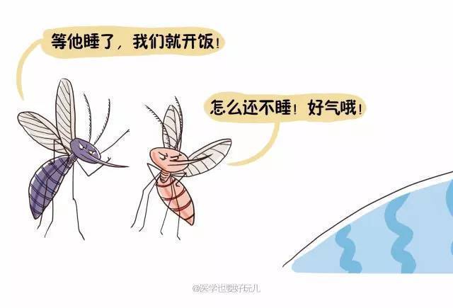 抓到吸你们血的蚊子,你们会怎么报仇?