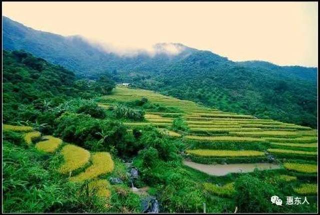 最美梯田就在惠东多祝角峰,看梯田不用走远