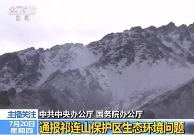 7月20日,央视新闻联播用了长达五分钟时间关注甘肃祁连山国家级自然