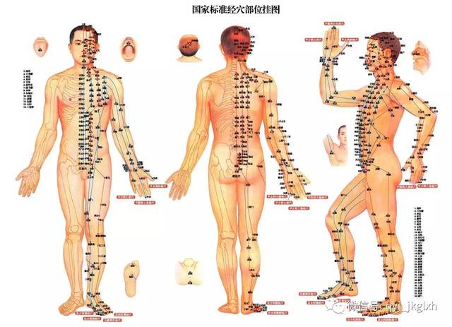 图文分享丨经络不通,补不受用疾病缠身!