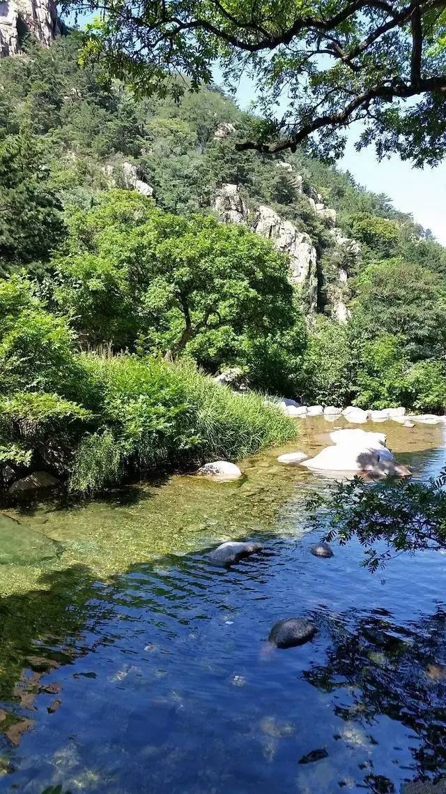 抬眼见树木郁郁葱葱,绿荫蔽日 低头看潭水碧如翡翠,清澈见底 涌动的