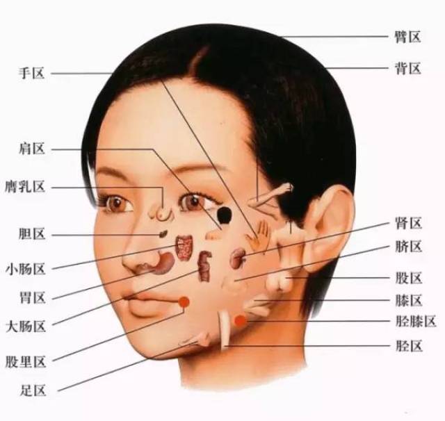 不外乎有痘,痔,色斑,痕,纹路;一般青少年以痘表现,一般中年人以皱纹