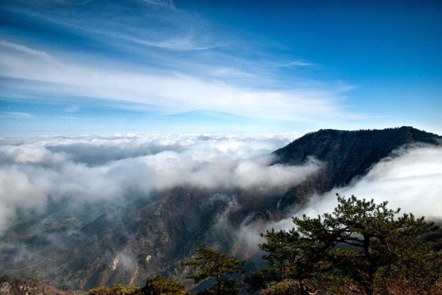 六安背靠千古名山大别山 这里的景色令人赞叹 物产无比丰富 还孕育了