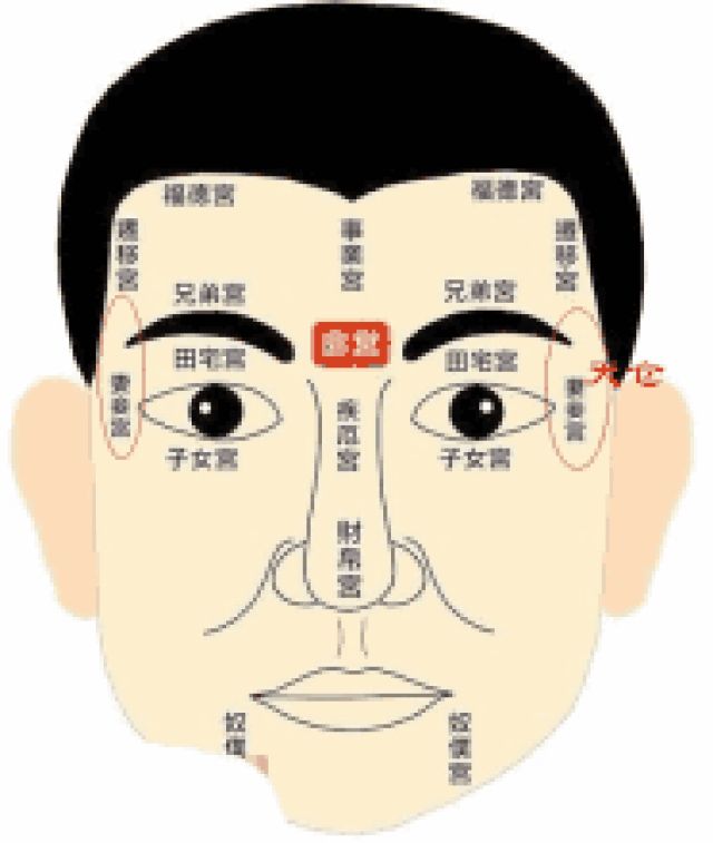 从面相上来讲,帅美是有原因的!