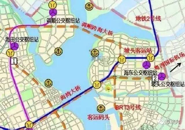 海东新区要成为湛江下一个城市中心