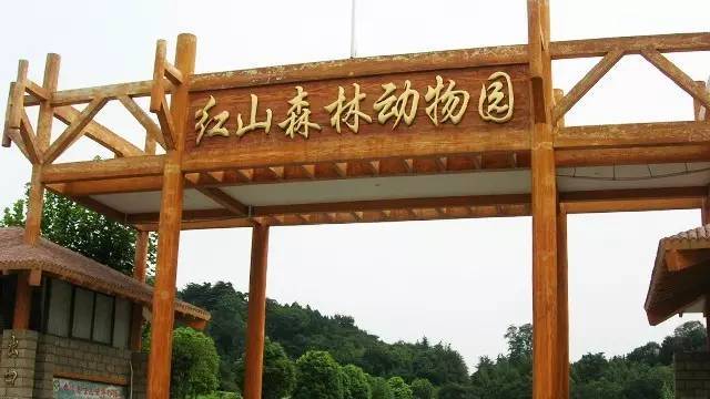 正常票价:40元 地址:南京市浦口区珍珠街118号   { 红山森林动物园 }