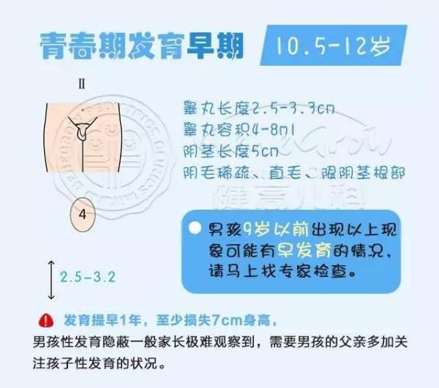 据相关文献报道: 男孩青春期身高突增高峰基本位于男生变声前,此时