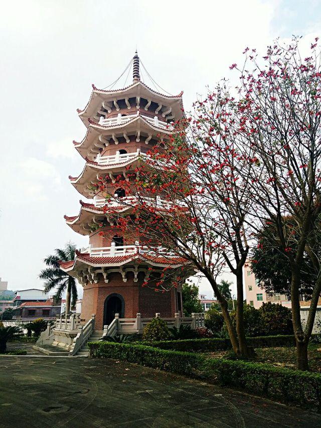 专业大揭秘 应用科技学院(诗山校区)