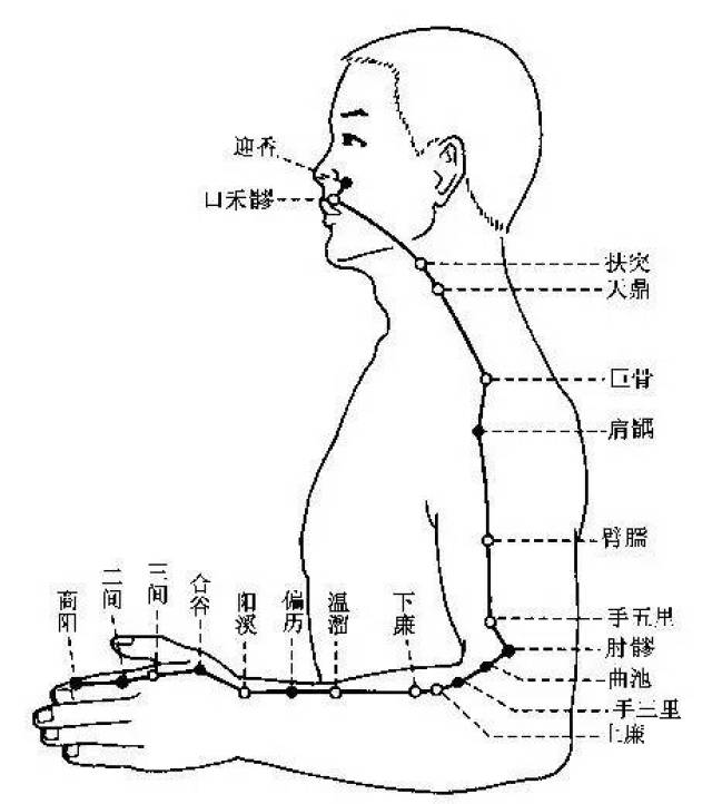 手阳明大肠经腧穴 2.