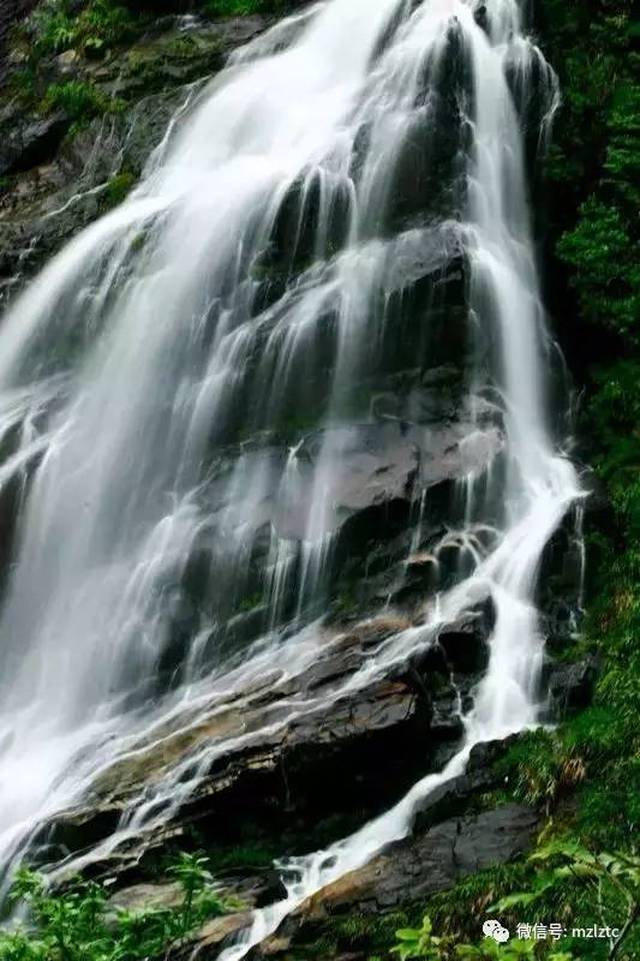 中青旅游 避暑季贰——丽水景宁 畲乡千米"高山村"农家乐避霾,避暑