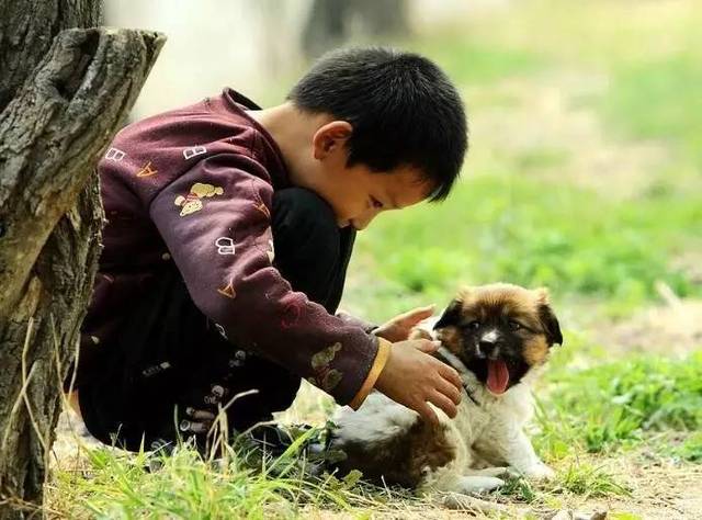 一个小男孩对狗狗的爱与恨