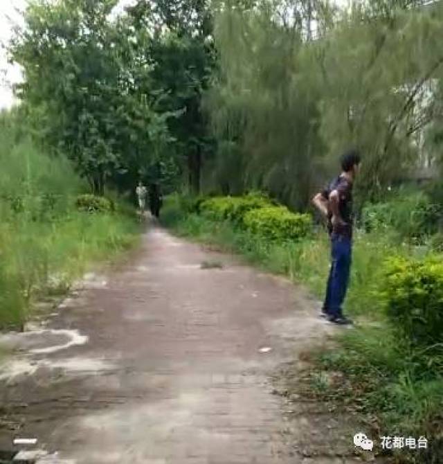 料人称,一名男子竟在团结公园对晨运路过女生无比猖狂地露出下体自慰!