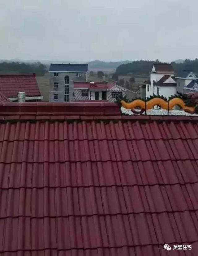 屋顶上装饰了一条龙,看过风水的!