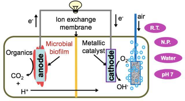 在微生物燃料电池中,电子通过有机物传递到微生物再到电极.