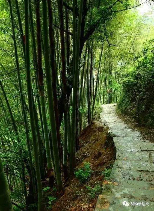 竹杖芒鞋轻胜马,谁怕?一蓑烟雨任平生.