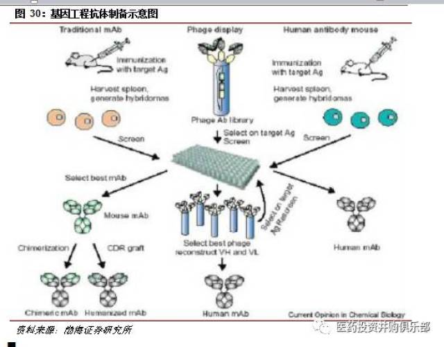 医疗健康研究之 | 技术制胜的高成长行业---单克隆抗体行业专题报告