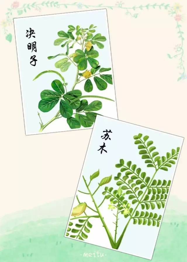 白芷,辛夷 白芷:以根入药,有祛病除湿,排脓生肌,活血止痛等功能.