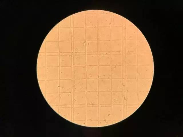 爽水宝: 注:乳酸菌计数方法:采用血球计数板在显微镜下观察计数.