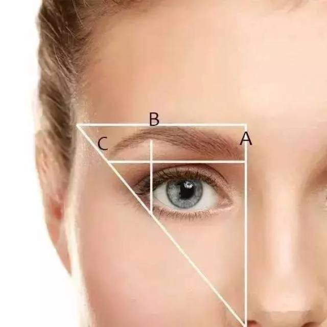 画法图解: 同样将眉毛分成两部分:a到b(眉头到眉峰)为一部分,眉形