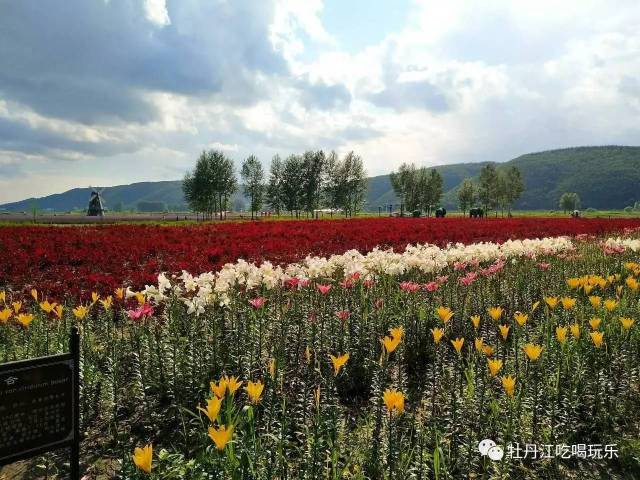 丽宇芳林对高阁,新装艳质本倾城. 穆棱花海景区 浓浓异域风情