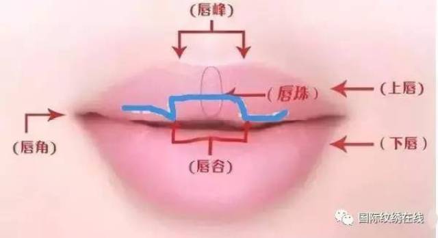 唇部入门技巧:唇型分类,唇形设计,唇线操作,唇线感染处理