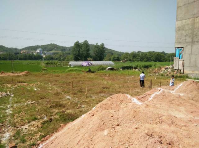 7月29日,尊桥乡发现羊石村一处占用基本农田建房,制止并拔除