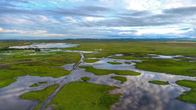 天下黄河 最美玛曲—走进世界最大最美湿地草原