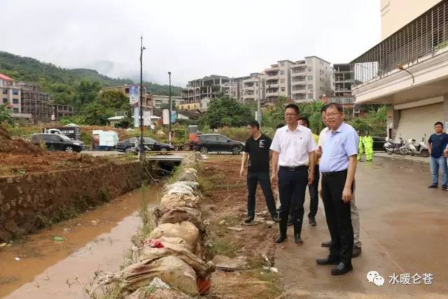 【新闻】南安市委书记王春金,市政府常务副市长黄辉灿深入仑苍镇检查