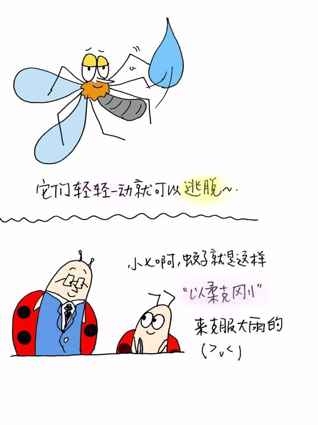 你讨厌蚊子吗?