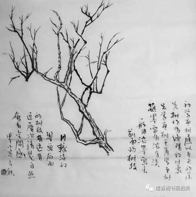 国画入门教学:树的画法