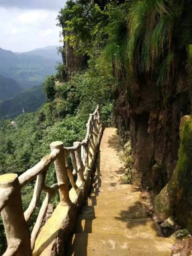 最新实拍的昭通小草坝景区美景!-旅游频道-手机搜狐